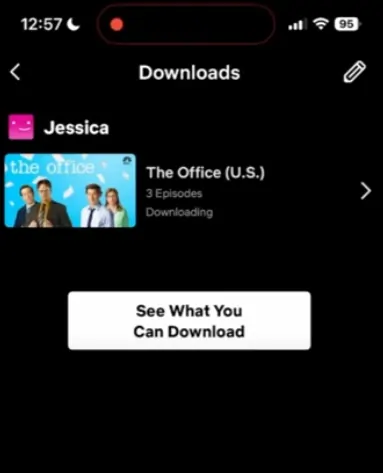 netflix download files